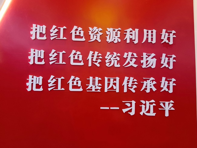 传承红色基因  弘扬“渡江第一船”精神——芜湖市中医医院外科一支部开展党建活动(图3)