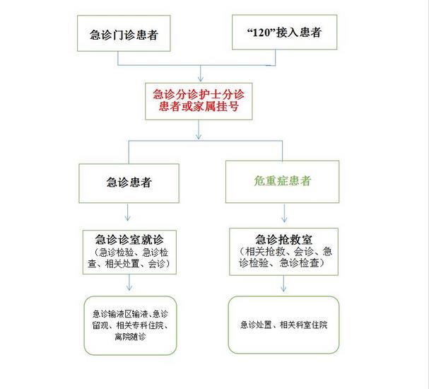 芜湖市中医医院 急诊就诊流程图(图1)