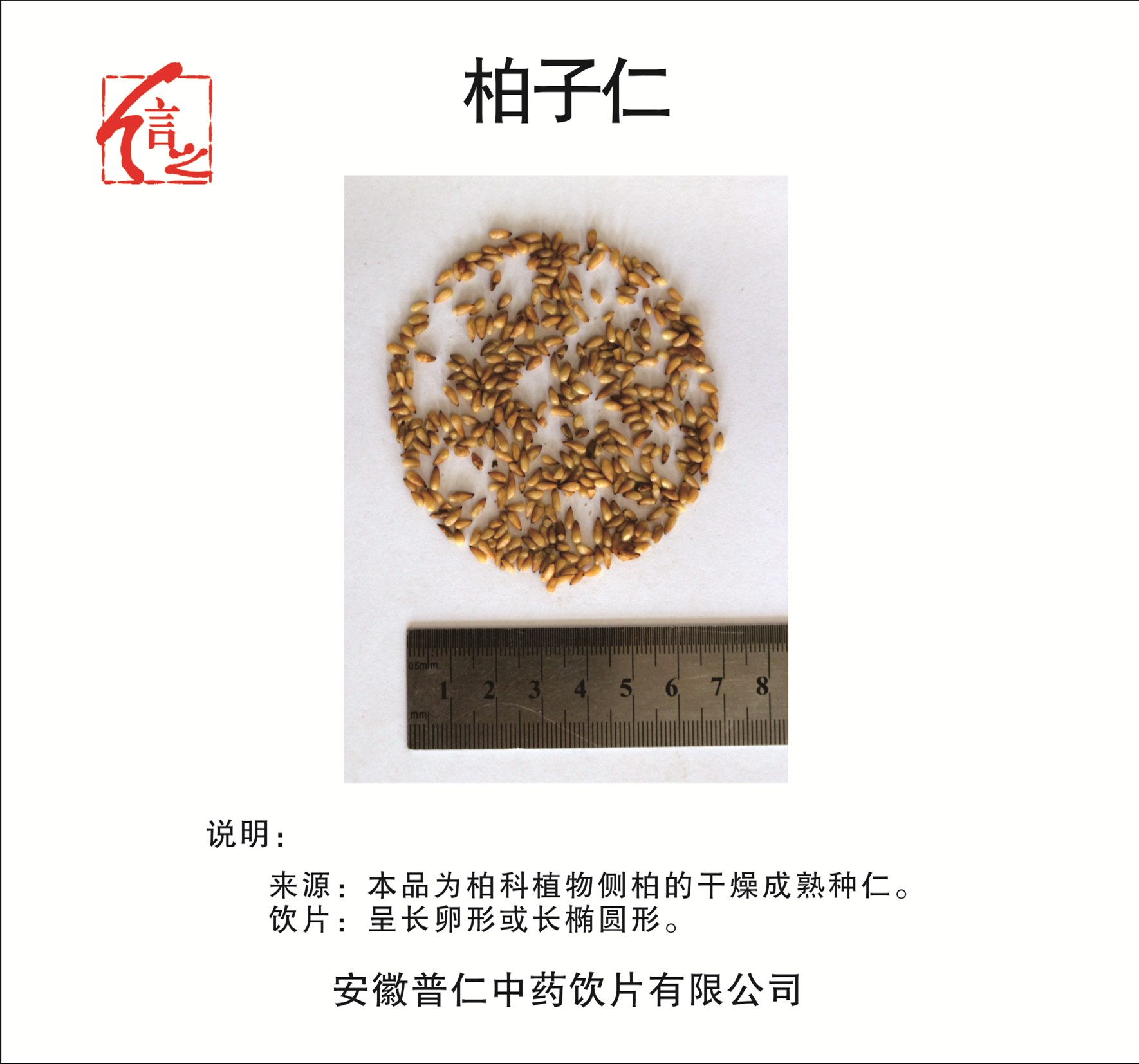 柏子仁.jpg