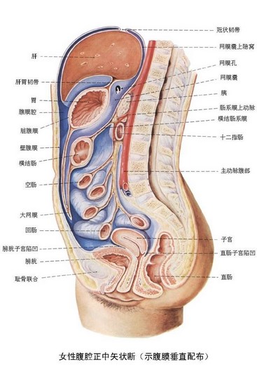 2 (复制).jpg