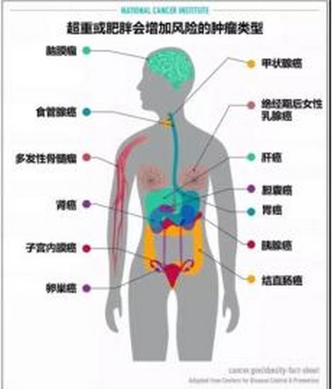 图片3 (复制).jpg