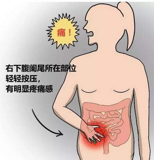 1 (复制).jpg