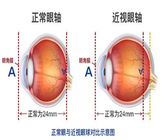 图片2 (复制).jpg