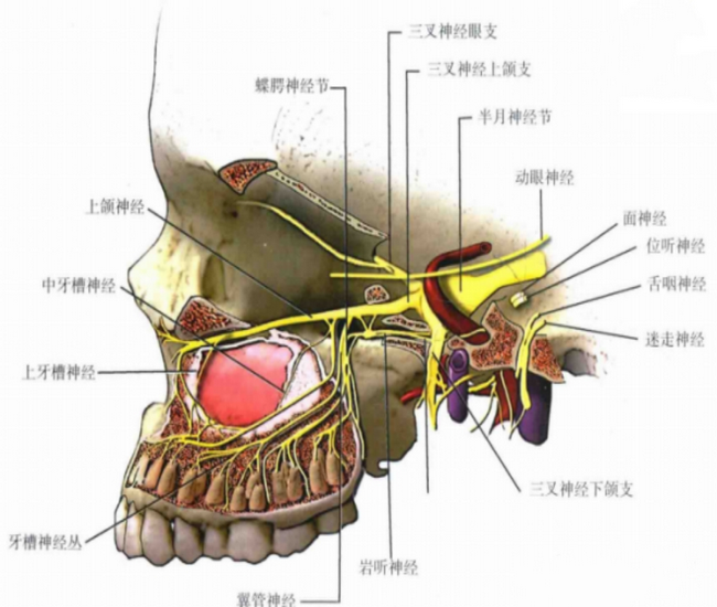 图片3 (Copy).png