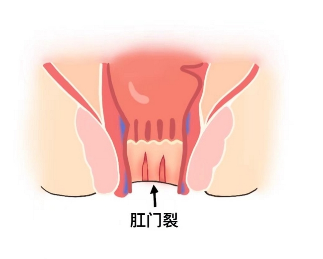 图片2 (复制).jpg