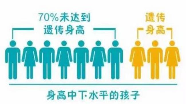 6 (复制).jpg