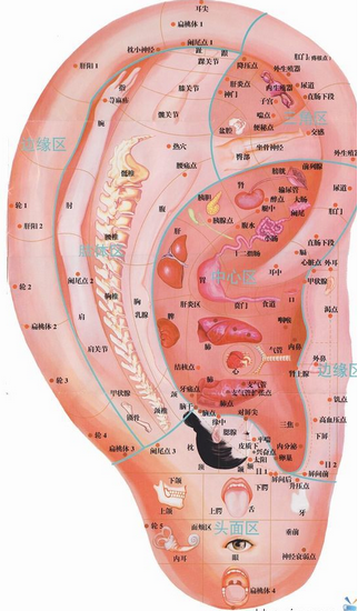 图片1 (Copy).png