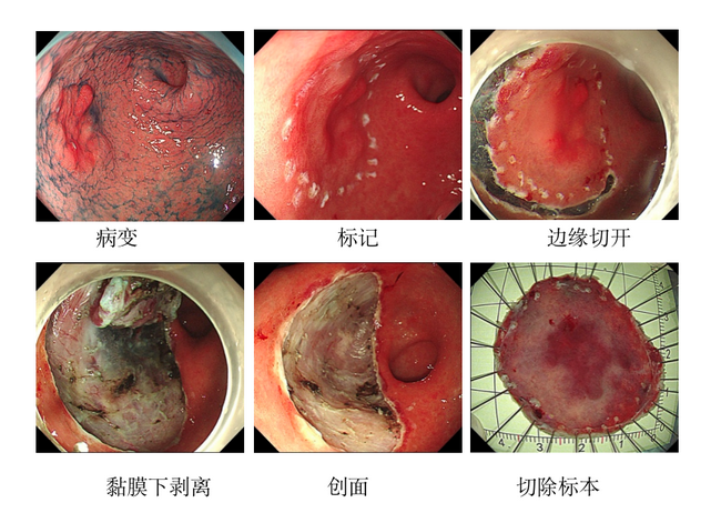 图片2 (Copy).png