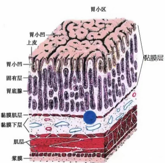 图片3 (Copy).png
