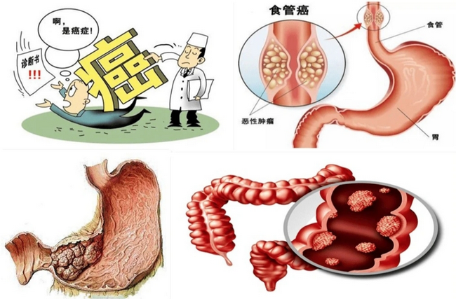 图片1 (Copy).png