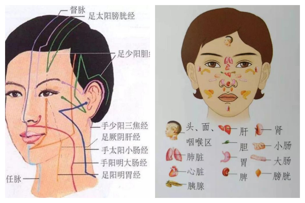中医美容.jpg