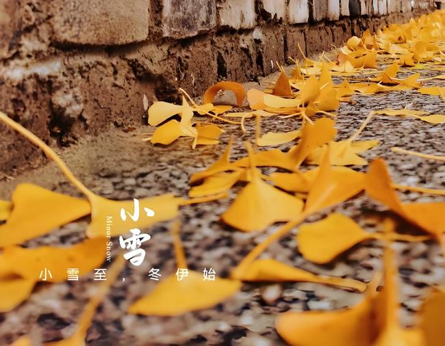 图1 (Copy).jpg