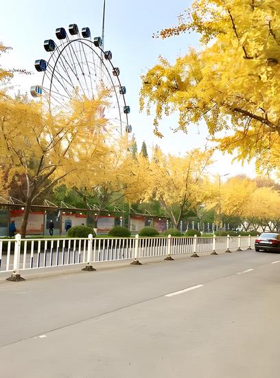 图2 (Copy).jpg