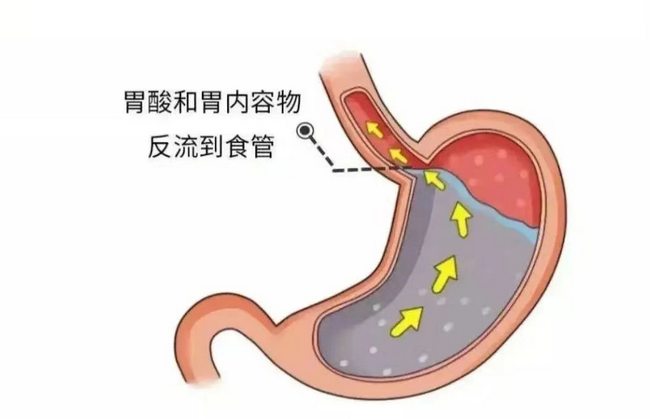 图片5 (Copy).png