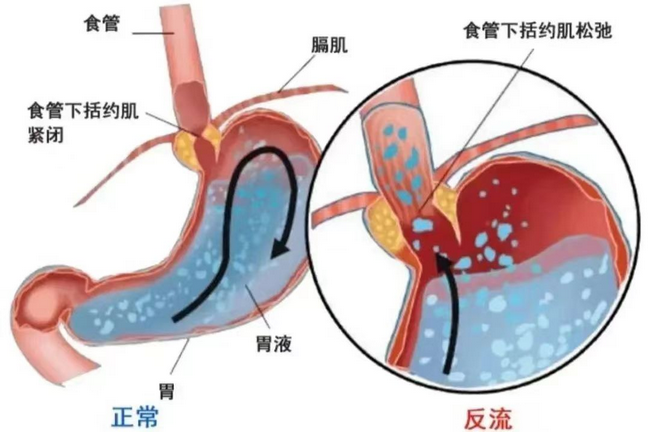 图片4 (Copy).png