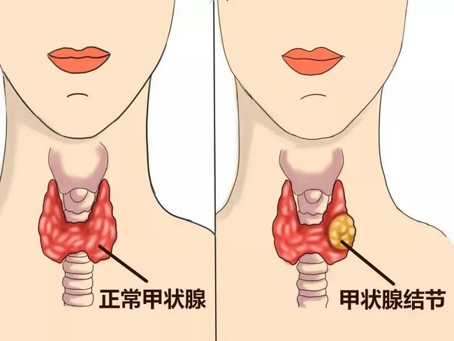 图片1 (Copy).png