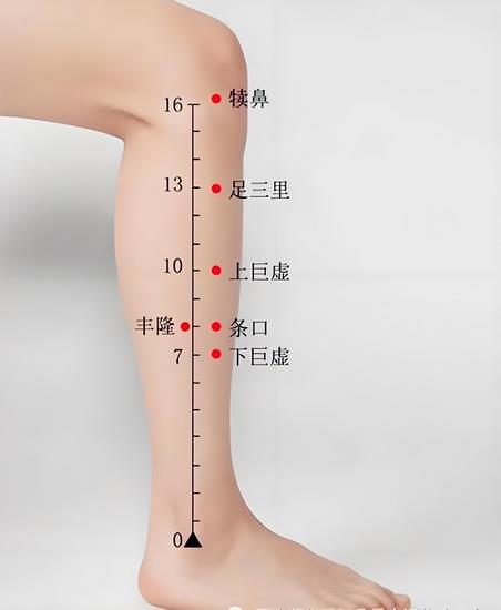 丰隆穴 (Copy).jpg