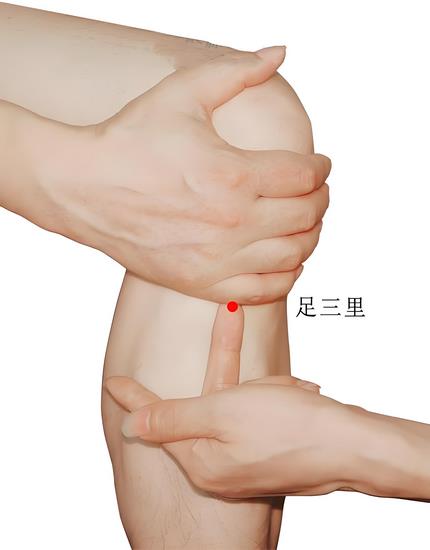 足三里穴 (Copy).jpg