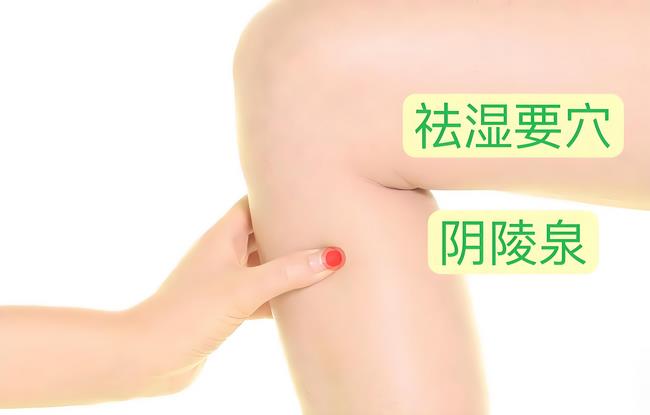 阴陵泉穴 (Copy).jpg