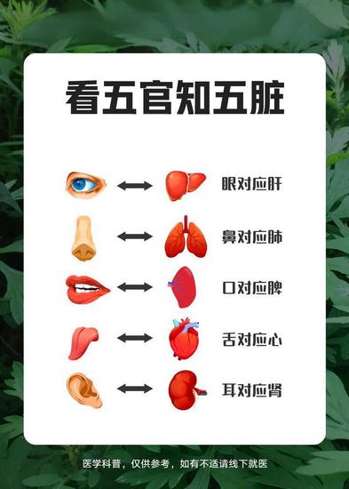 五行对应五脏五官 (Copy).jpg 五行对应五脏五官 (Copy).jpg