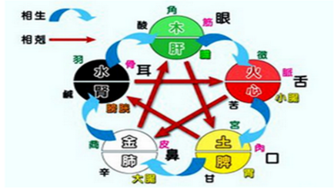 图片11 (Copy).png