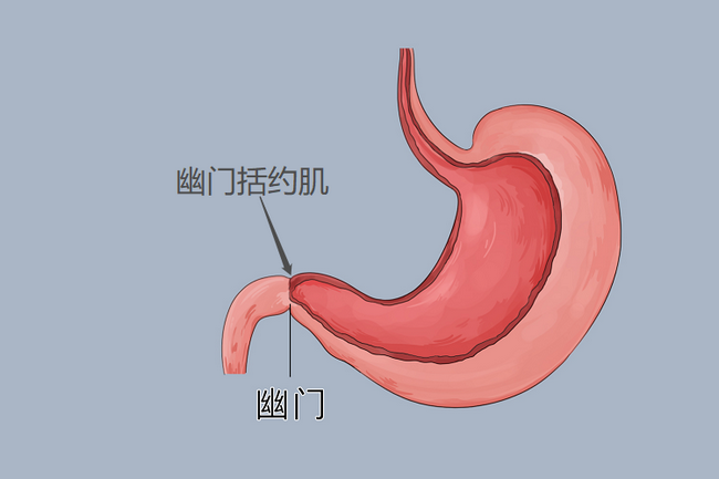 图片8 (Copy).png