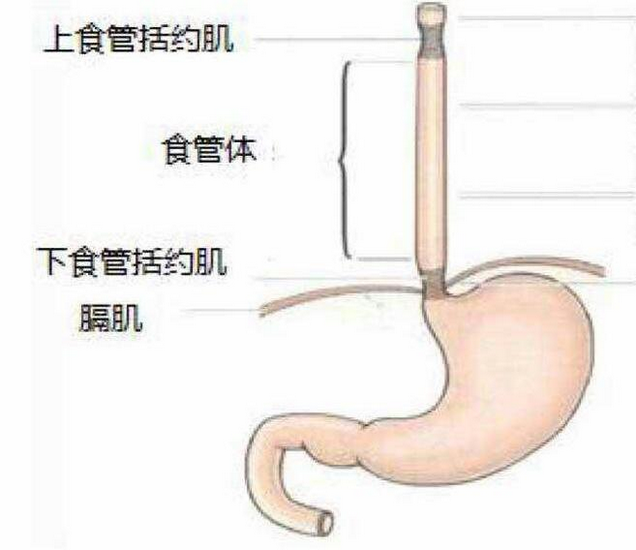 图片6 (Copy).png