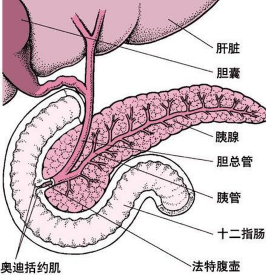 图片11 (Copy).png