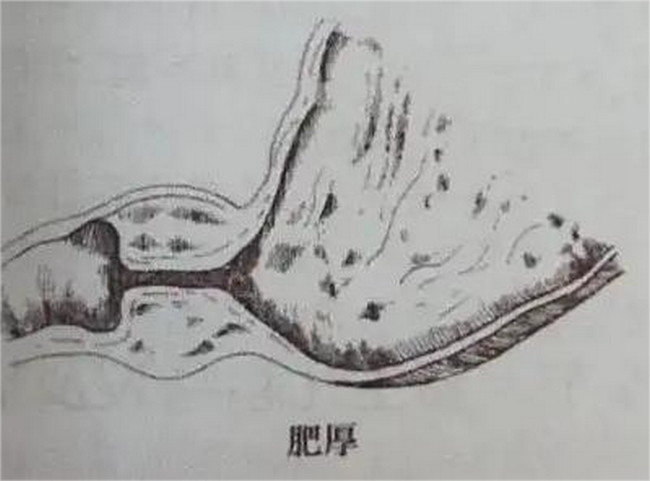 图片9 (Copy).png