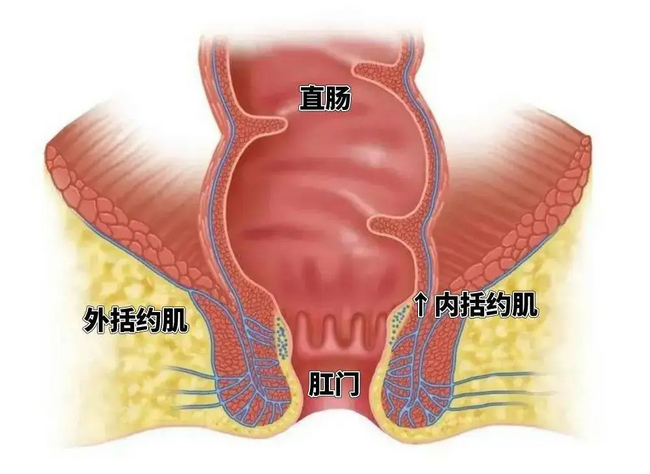 图片13 (Copy).png