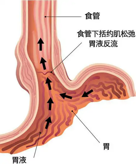 图片7 (Copy).png